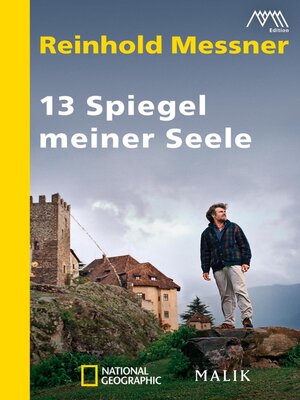 cover image of 13 Spiegel meiner Seele